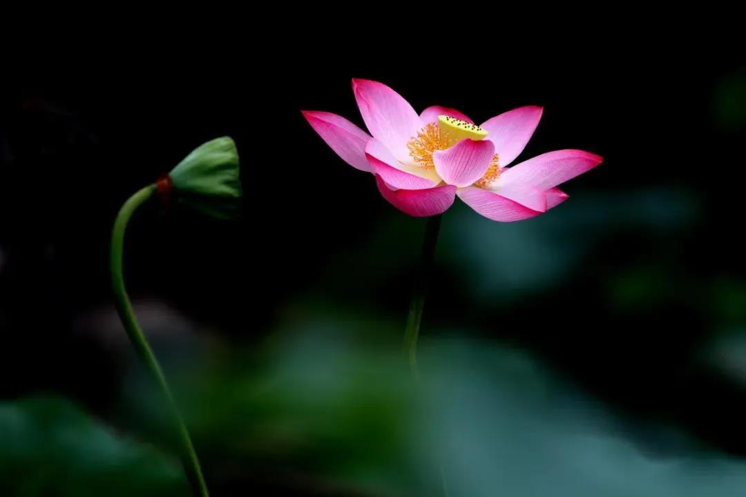 û��һλ��ʦ�Ǵ������еõ�����