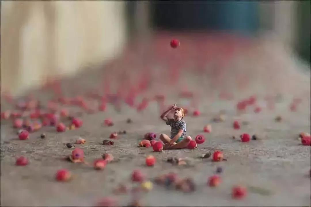 ��ҵġ�ʮ����Ե��ָ����ʲô��