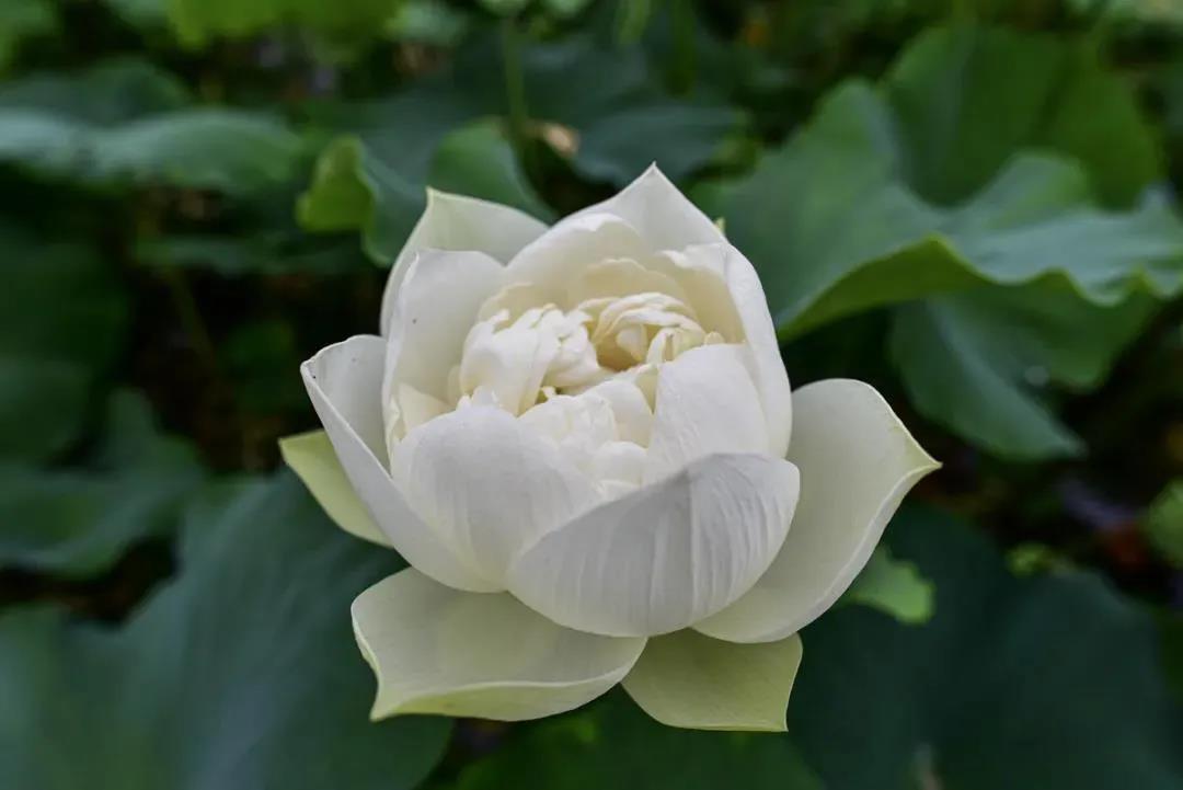 ӡ�������������ʲô����ã�ʮ�����������