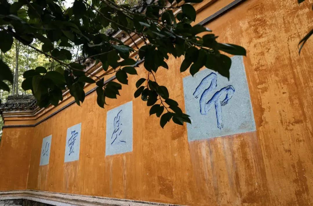 ����Ƿ�������ǿ����Ķ���������