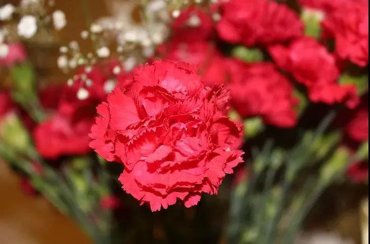 ��Ϊĸ����Ը��_��ĸ��֮������ߵغ�