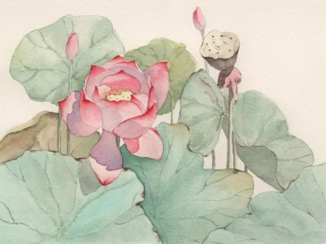 往生纪实:慈母八旬始念佛,十年功成生净土 往生纪实:慈母八旬始念佛,十年功成生净土