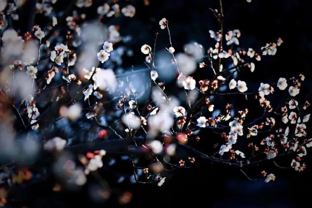 ����ǧ�����򣬲���һ����ħ