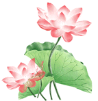 �޾��������ߣ����ɲ��������䣡