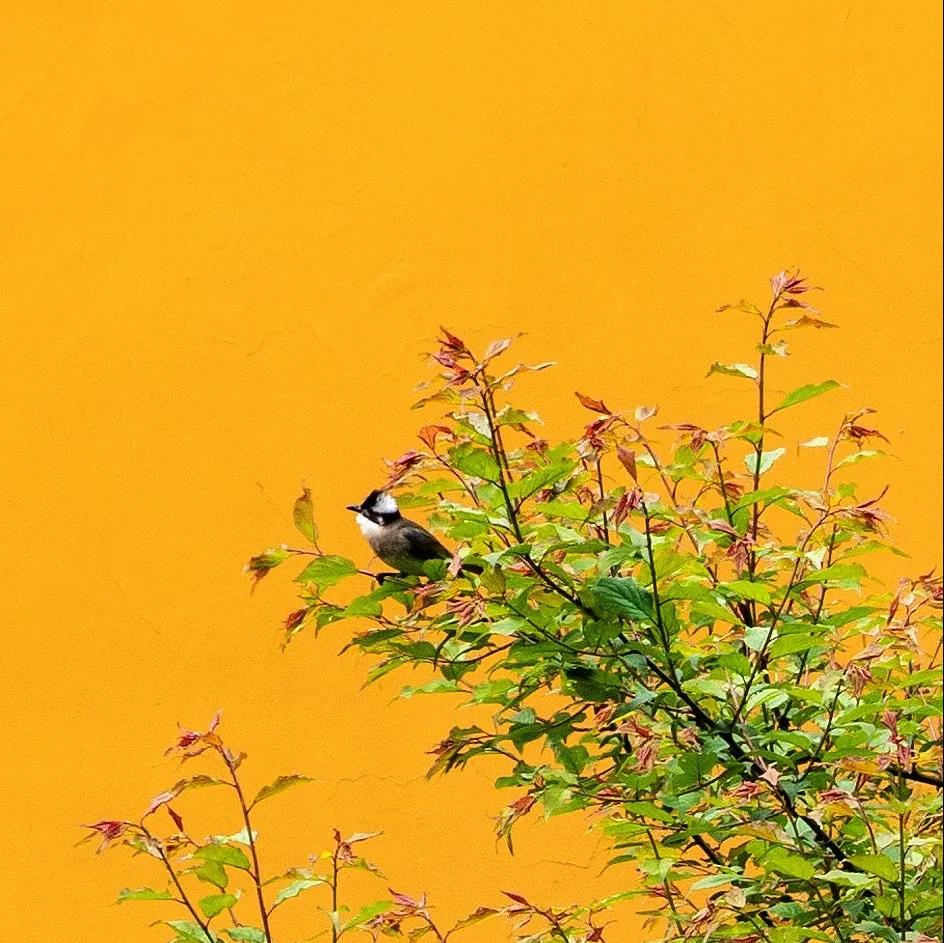 �޾��������ߣ����ɲ��������䣡