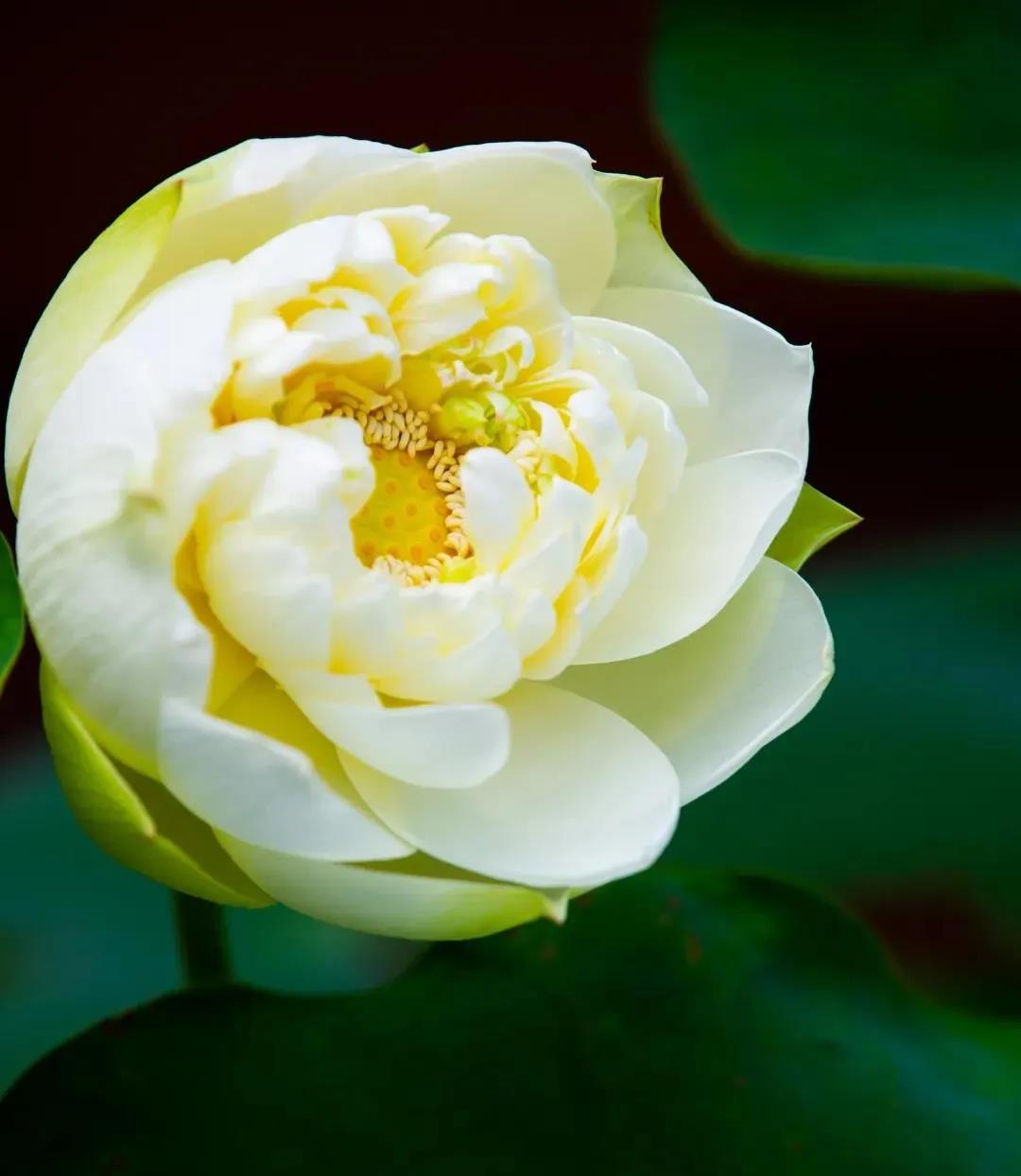 ���Ĳ���ı䣬��������Ҳ��û��