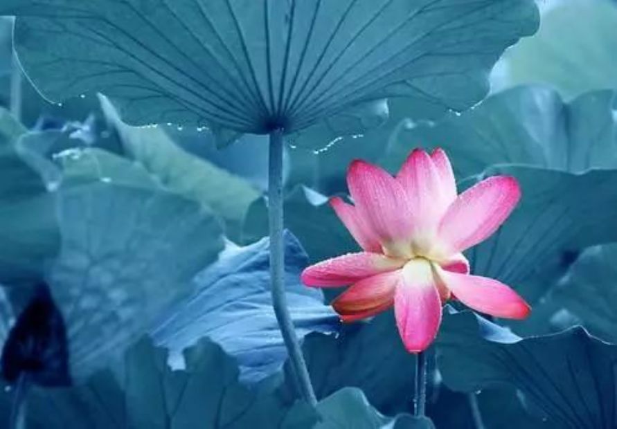 ��𹦵´�Сȡ���������̬