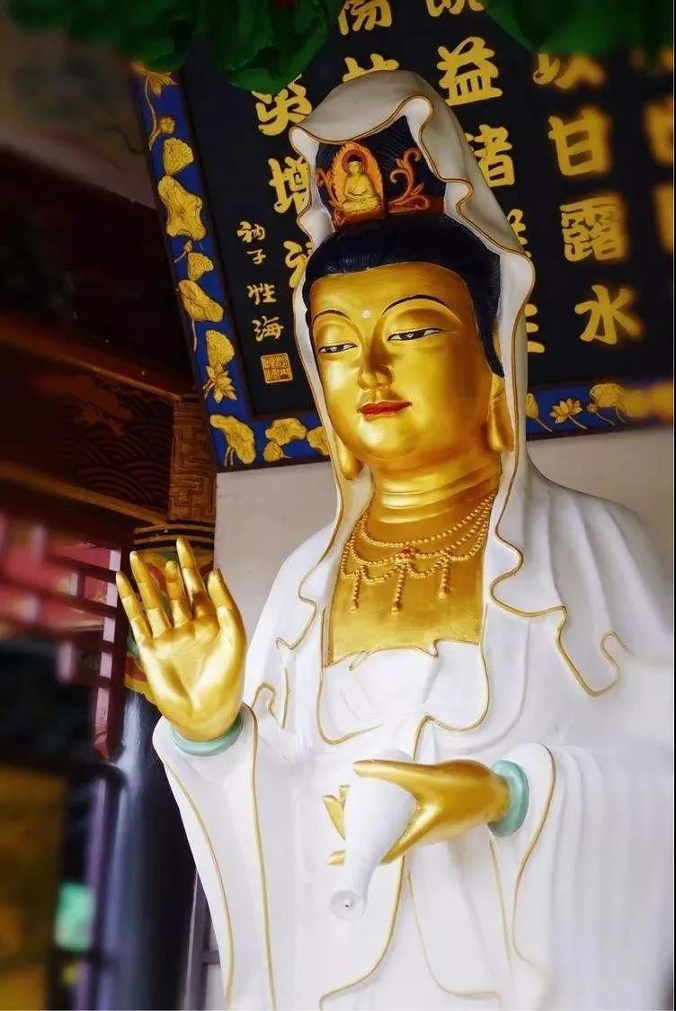 �����Ӧ����Ը����������������Ϊ����ô���顱��