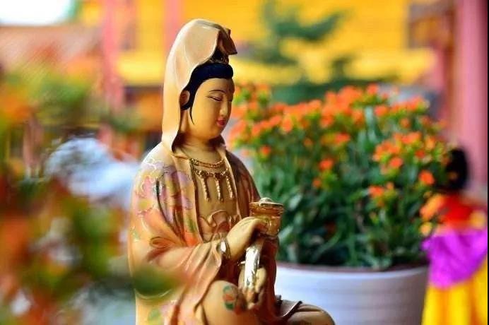 �㲻��㹩Ʒ�����������ӳ����ˣ�