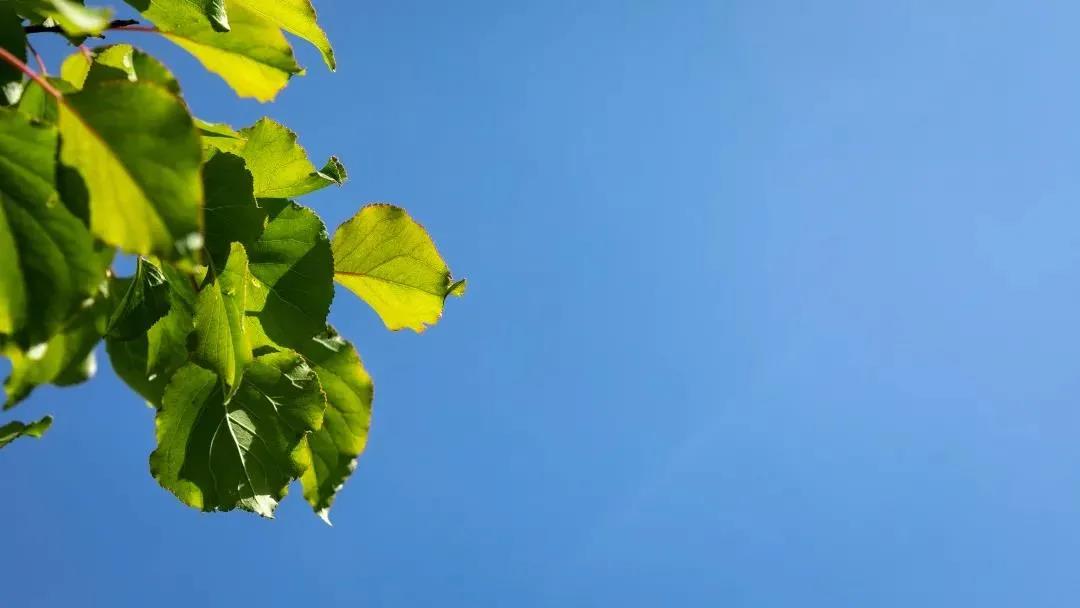 ����������������ɵ�ʮ������η���£��㶼֪����