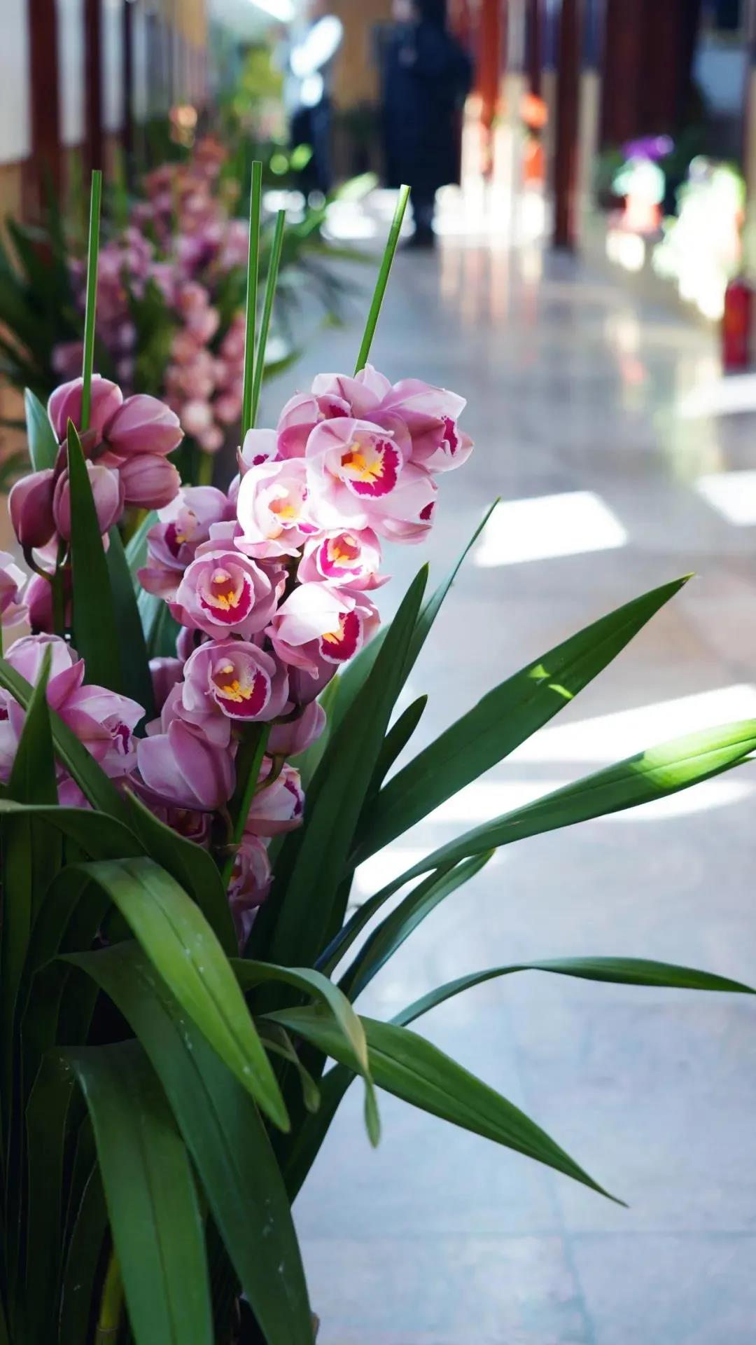 ���������ۣ��϶����ң��������ң���������