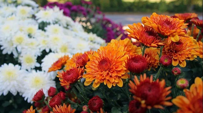 �����ڶ���Ե������Ҫ�����Լ�������