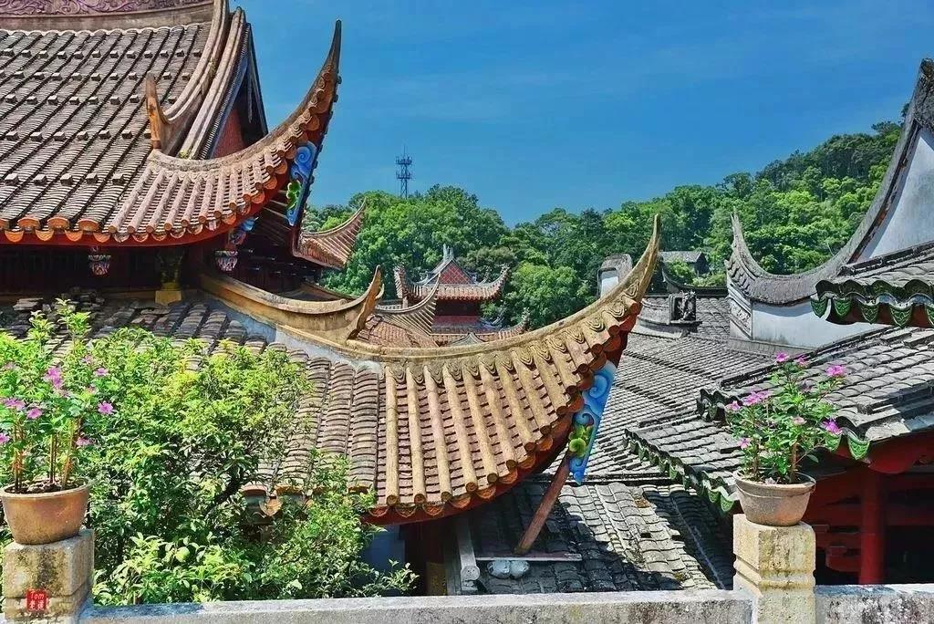 六祖惠能大师的19段偈语,句句直指人心! 六祖惠能大师的19段偈语,句句直指人心!