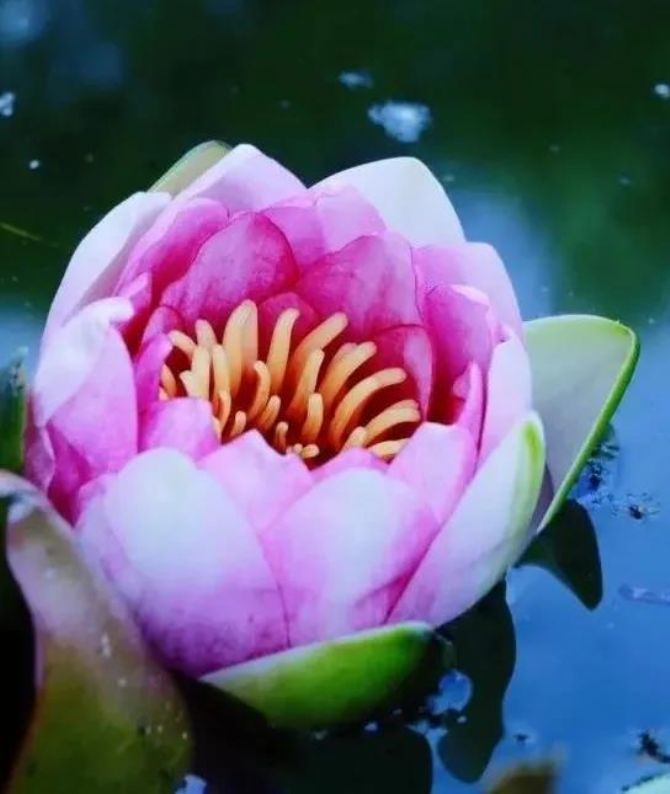 信佛不仅为了了生死,还要了结心中的结! 信佛不仅为了了生死,还要了结心中的结!