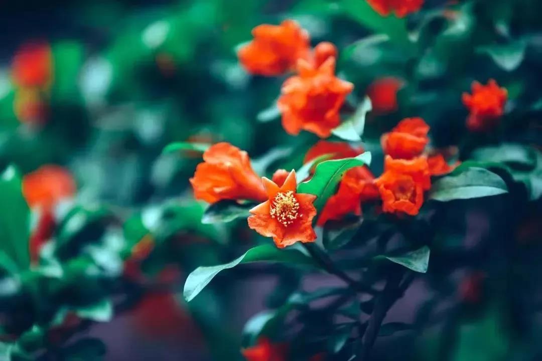 福报享尽,你连一碗粥都喝不下去! 福报享尽,你连一碗粥都喝不下去!
