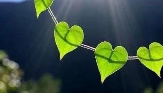 ��Ը�����������磬ƽ��Ӧ����ôѵ����