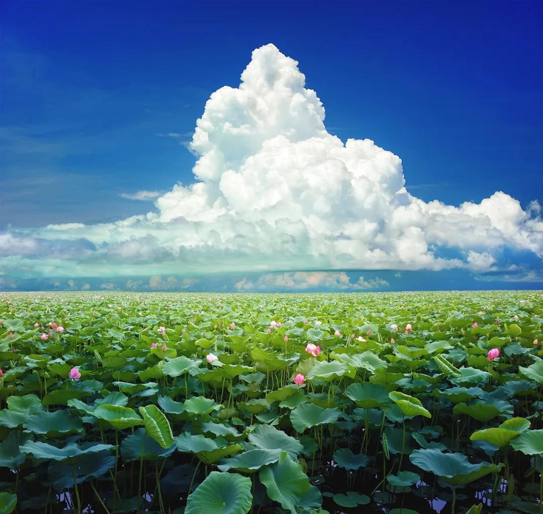 禅宗公案:缘起性空 禅宗公案:缘起性空