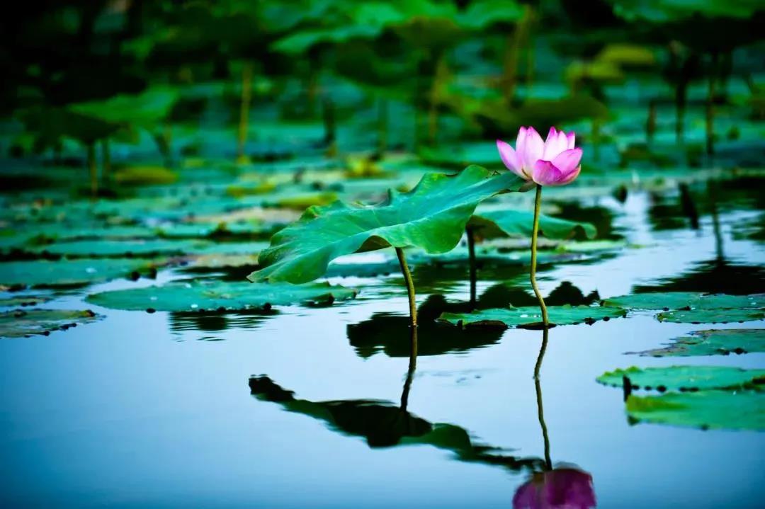 һ���ճ�����ǲ�������ĺ���Ե