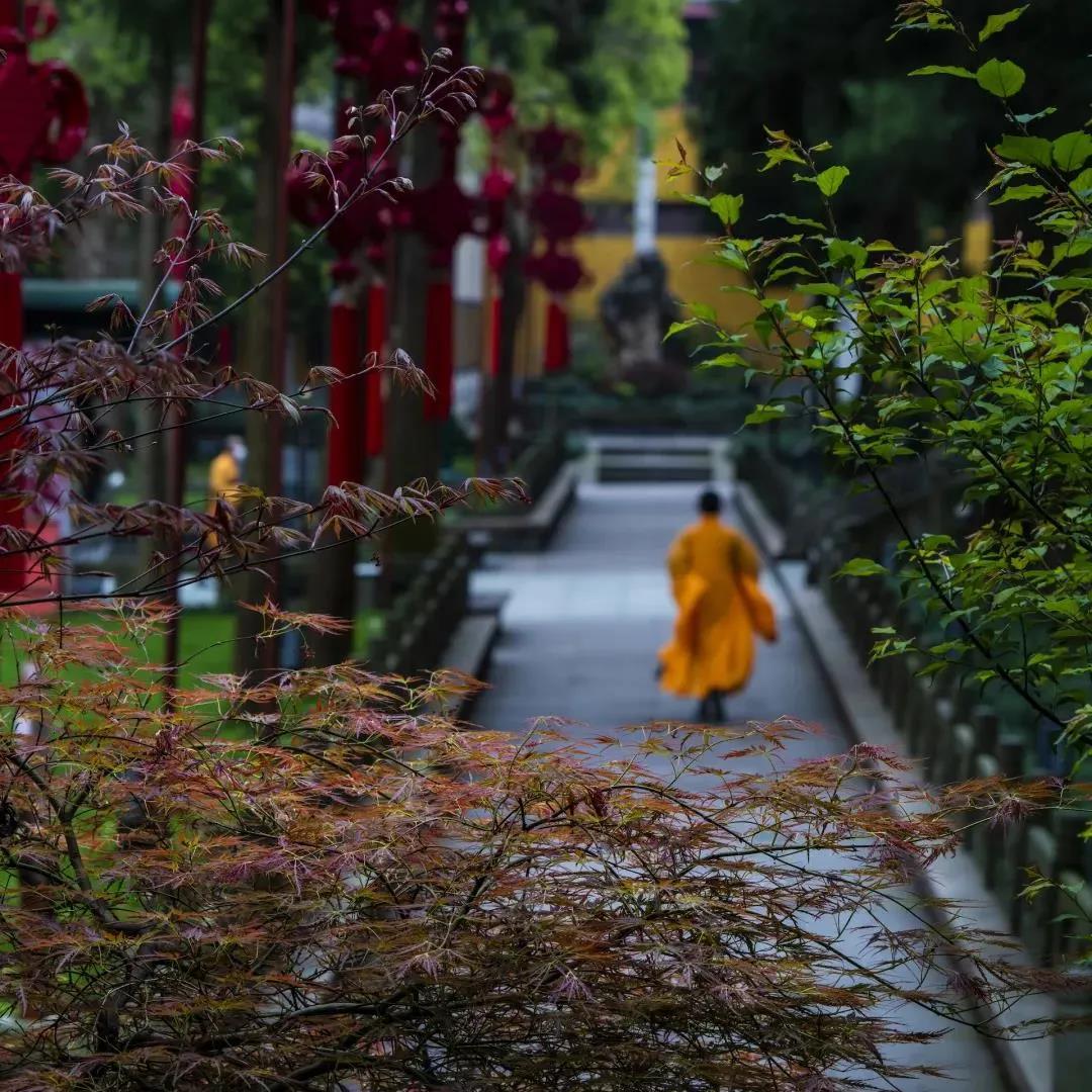 ���ļ��Բ����ڳɷ�