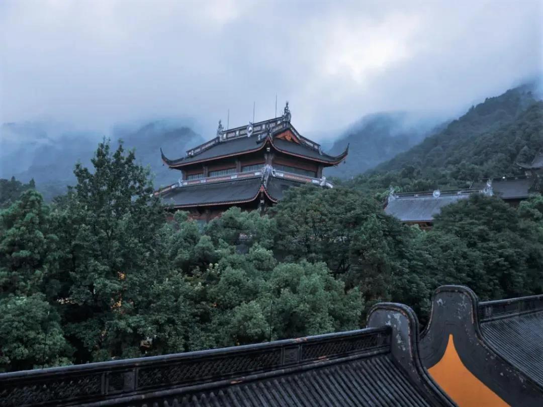 ���ļ��Բ����ڳɷ�