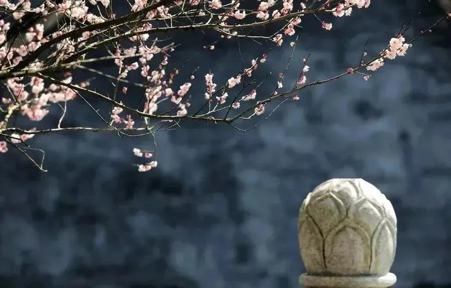 ���ļ��Բ����ڳɷ�