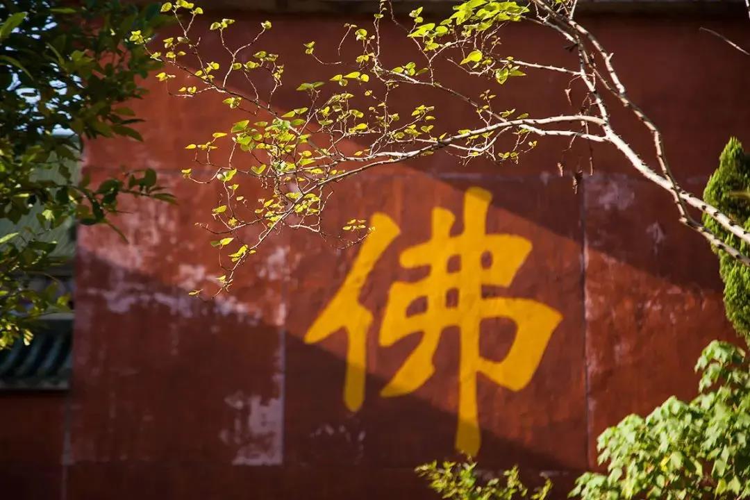 面对“垃圾人”,修忍辱是不是一种纵容? 面对“垃圾人”,修忍辱是不是一种纵容?