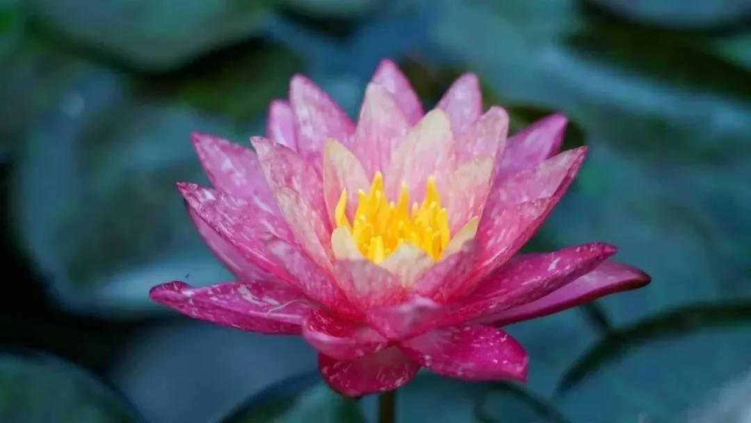 ��֮�У�������ţ�ΪʲôҪ����أ�