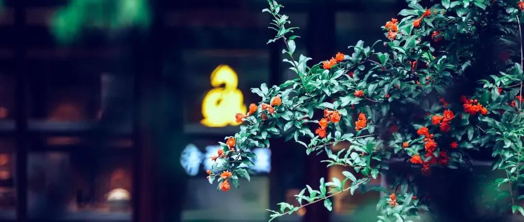 һ�ж���õģ������н���İ취