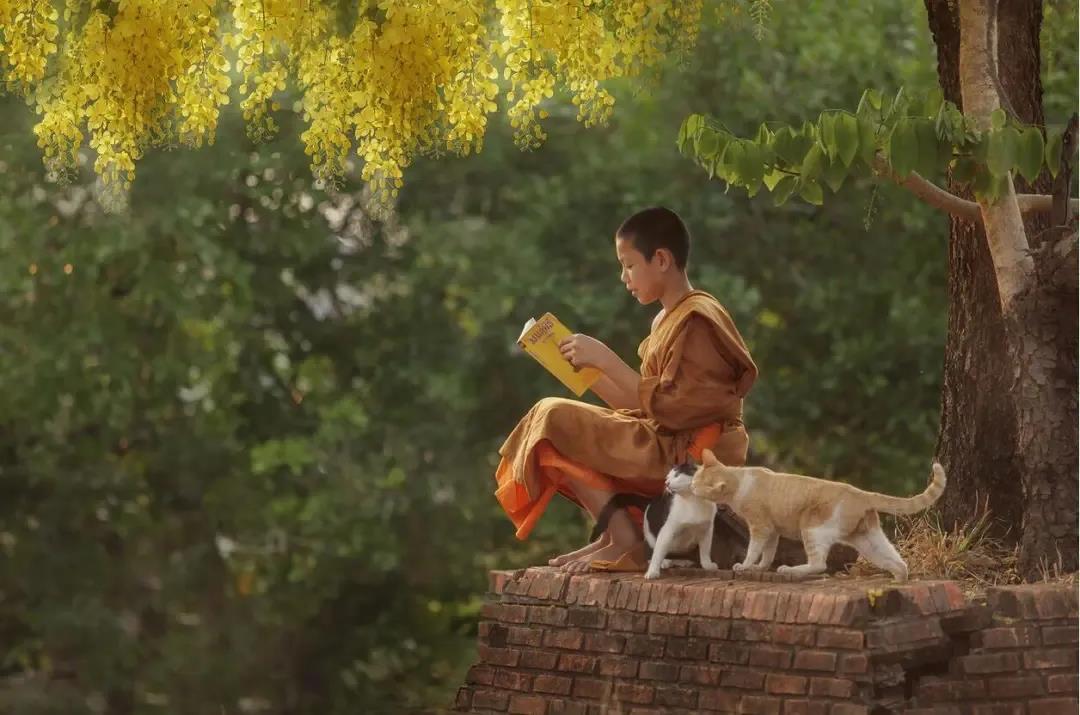 修了那么久,你贪嗔痴的情绪多久能平息? 修了那么久,你贪嗔痴的情绪多久能平息?