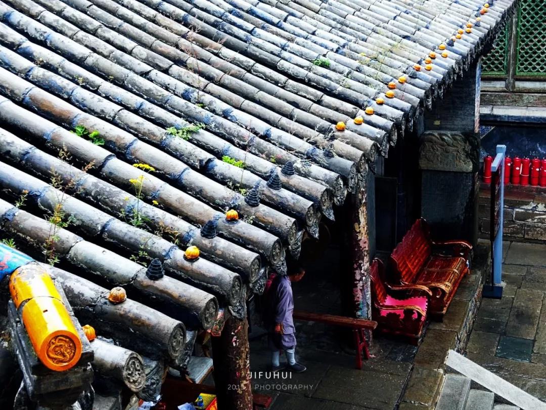 修了那么久,你贪嗔痴的情绪多久能平息? 修了那么久,你贪嗔痴的情绪多久能平息?