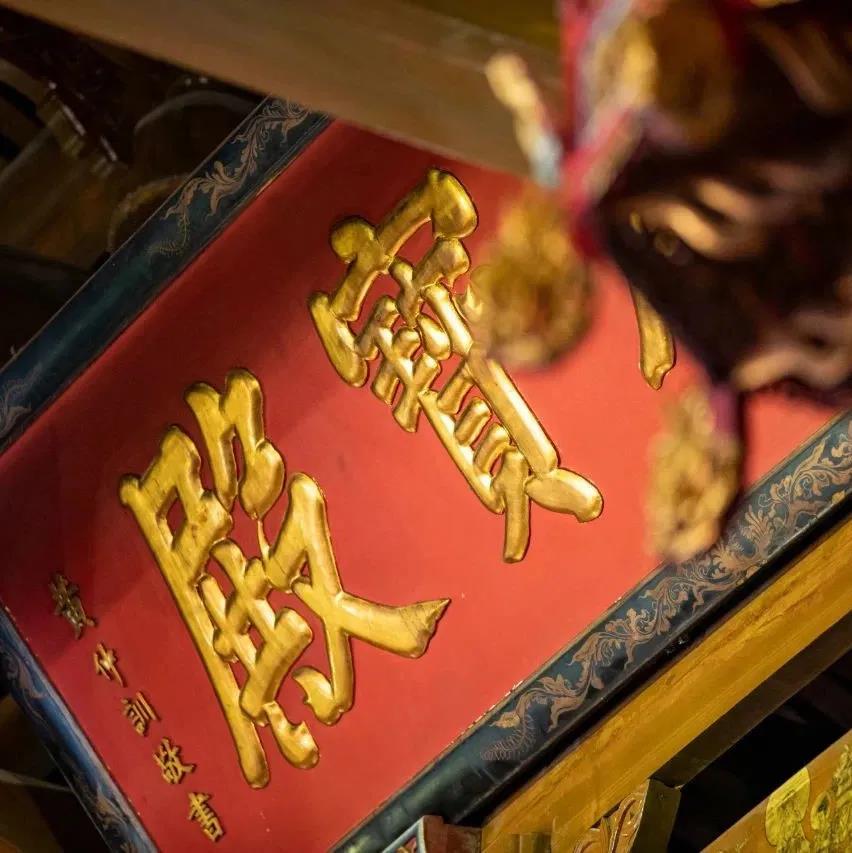 �ĵ��ǵ�����