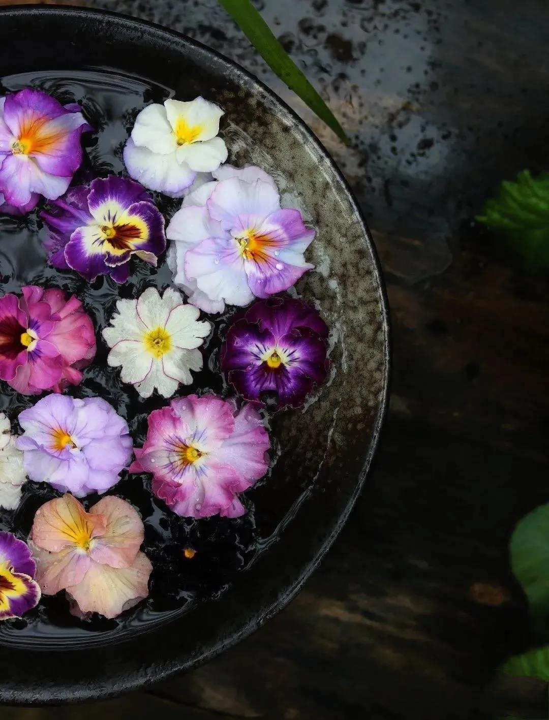 坚固的妄想会破坏你的佛号 坚固的妄想会破坏你的佛号