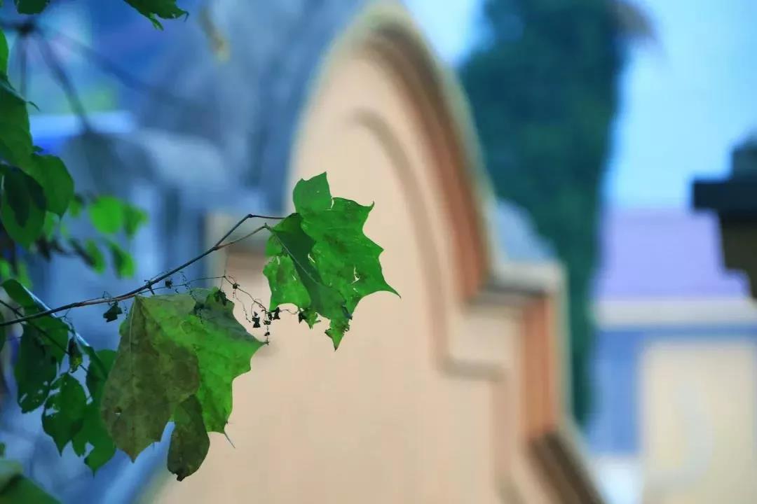 每个人的苦乐,都有近缘和远因 每个人的苦乐,都有近缘和远因