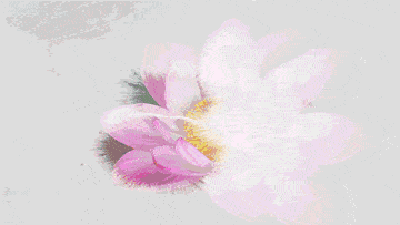 �о����Ϊ���£���Ե����������