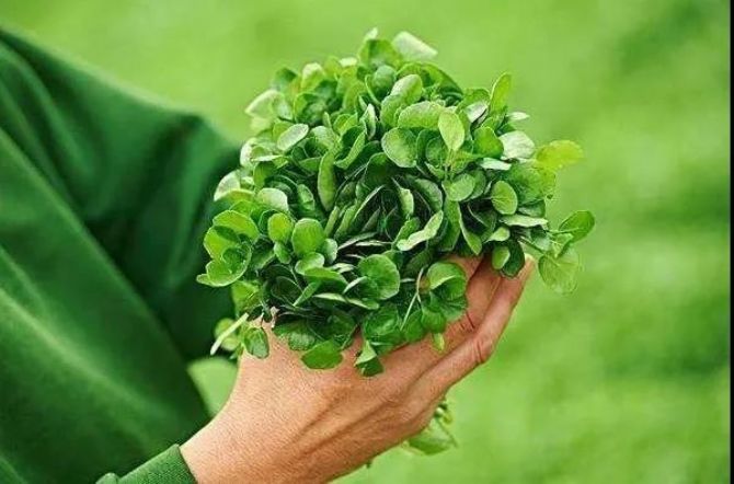 ѧ��һ�����أ���ȴֵ���ᳫ