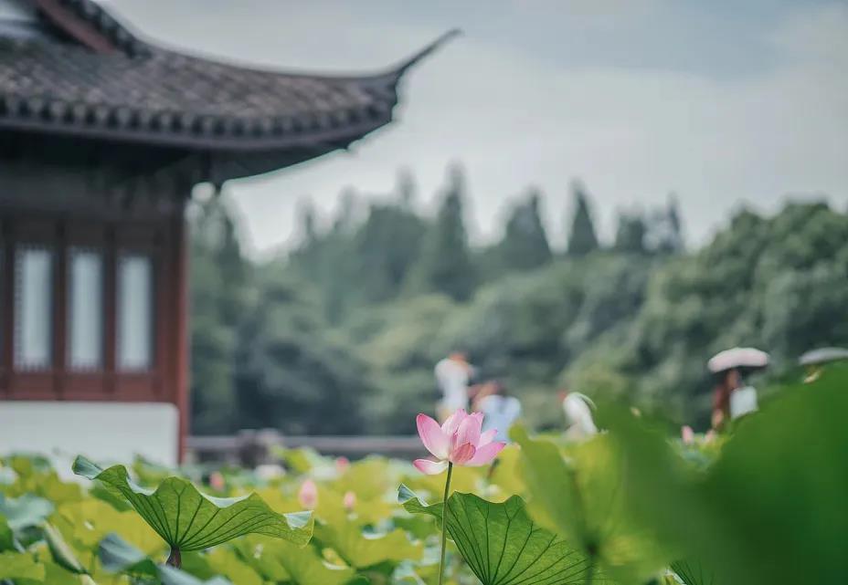 得与失_,你还在意吗? 得与失_,你还在意吗?