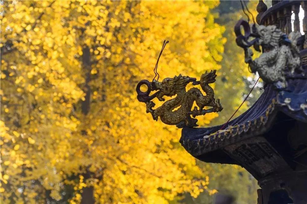 在红尘中修行,如何平衡出世与入世? 在红尘中修行,如何平衡出世与入世?
