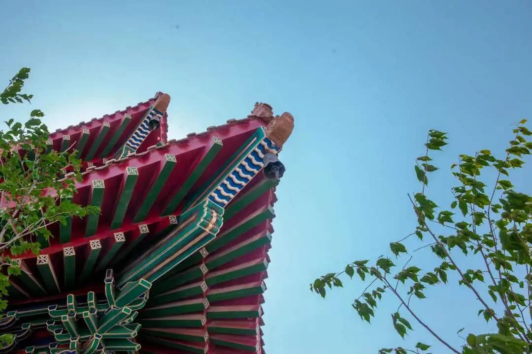 不知者,真的无罪吗? 不知者,真的无罪吗?