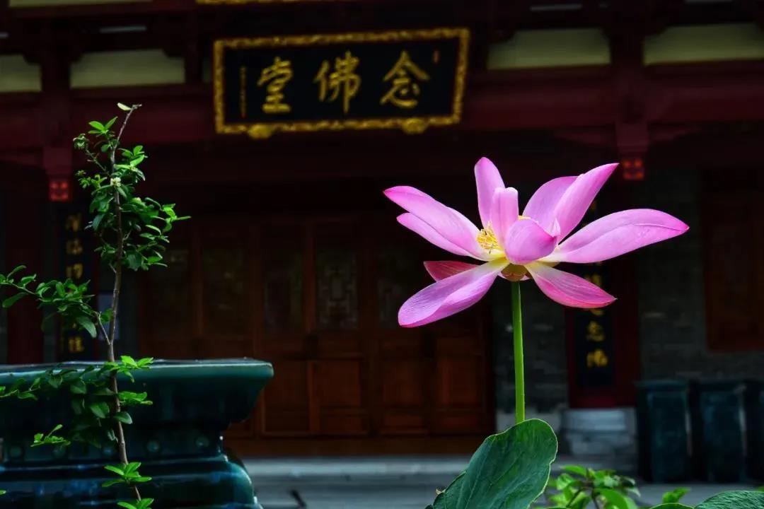 适合在家居士从早至晚的修行方法 适合在家居士从早至晚的修行方法