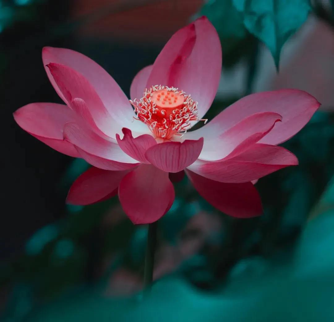 �����ദ֮�������ڴȱ�������