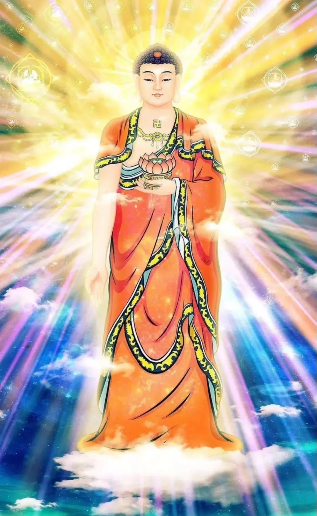 ��֪���������������������