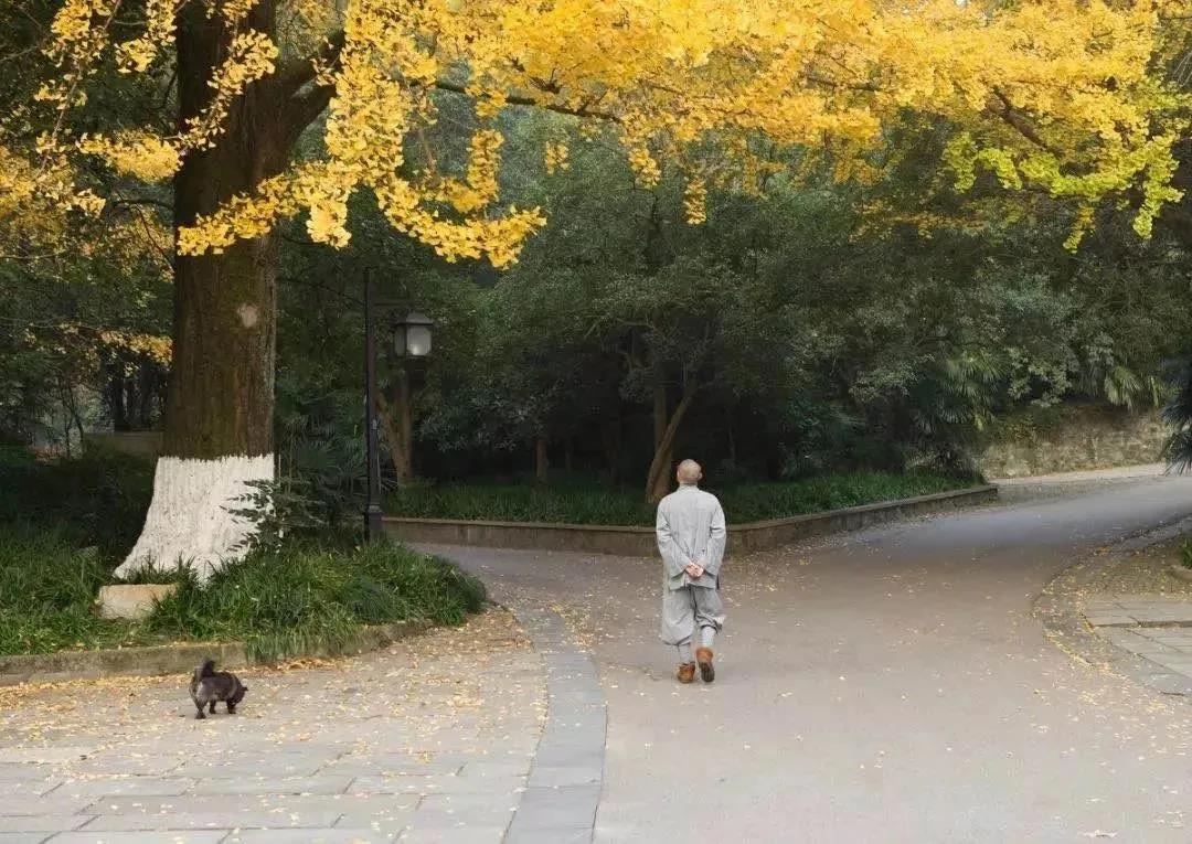 在一切境界中不要忘记念佛 在一切境界中不要忘记念佛