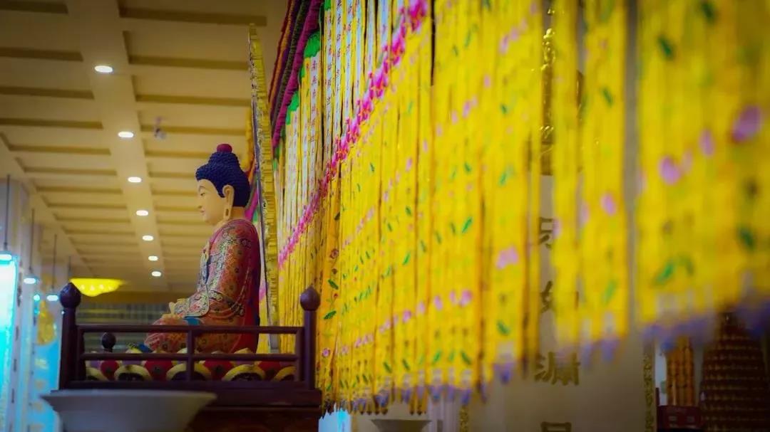 ��ѧ�������Ų��桢Ը���С���ԭ�򵽵������