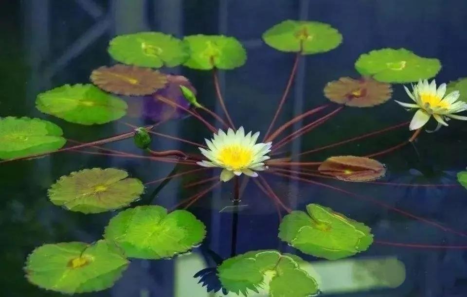 为什么要修行?不想随“业力”而转 为什么要修行?不想随“业力”而转