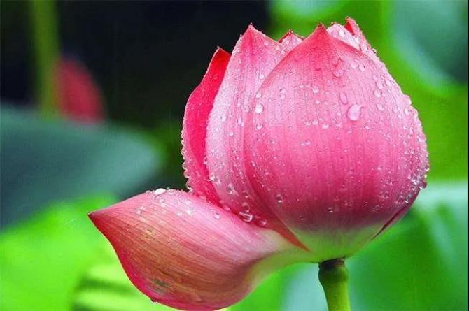 �����ţ���ʵ���