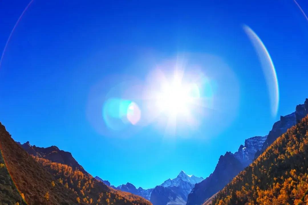 ҵ���Ƿ���������������ֱ���