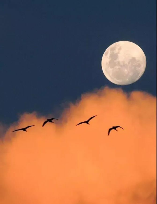 ��Ը�����֮�þã�ҵ������