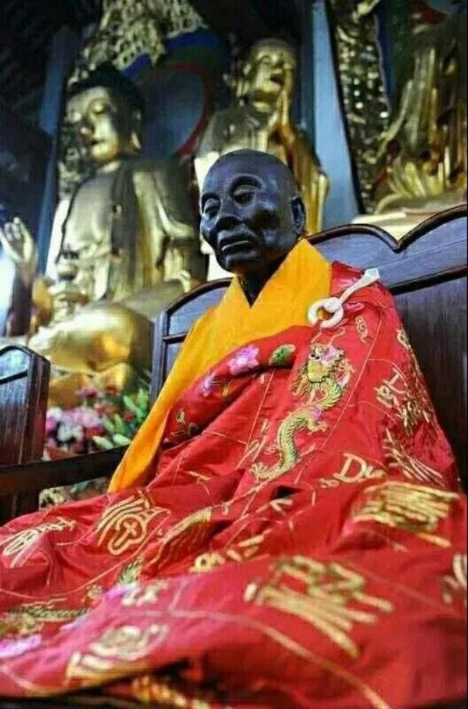 ����������ܴ�ʦԲ�ż����գ�һ������Ҷ�������Ȼ�ɣ�