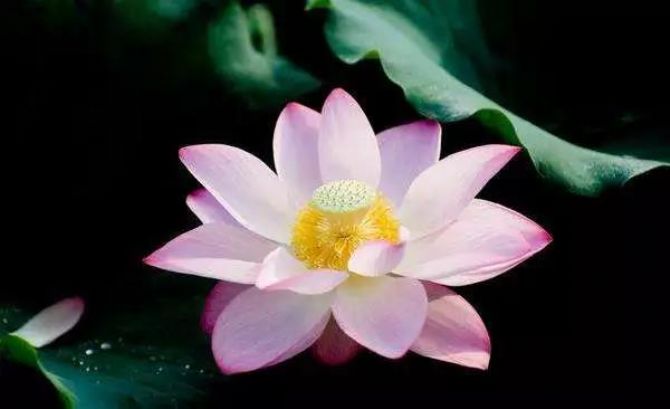 心的力量,是不可思议的 心的力量,是不可思议的