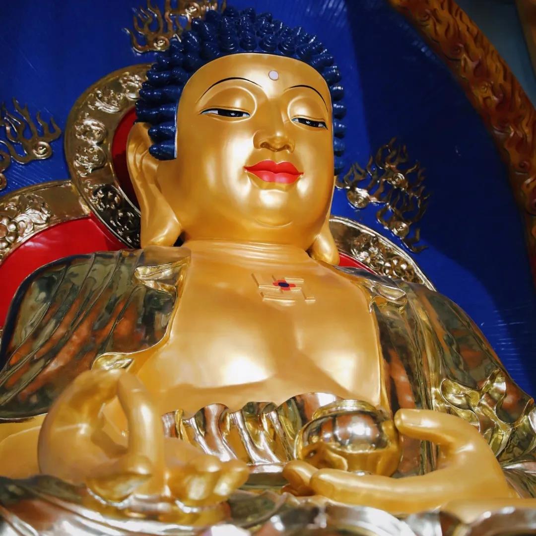 �����������Ը���������